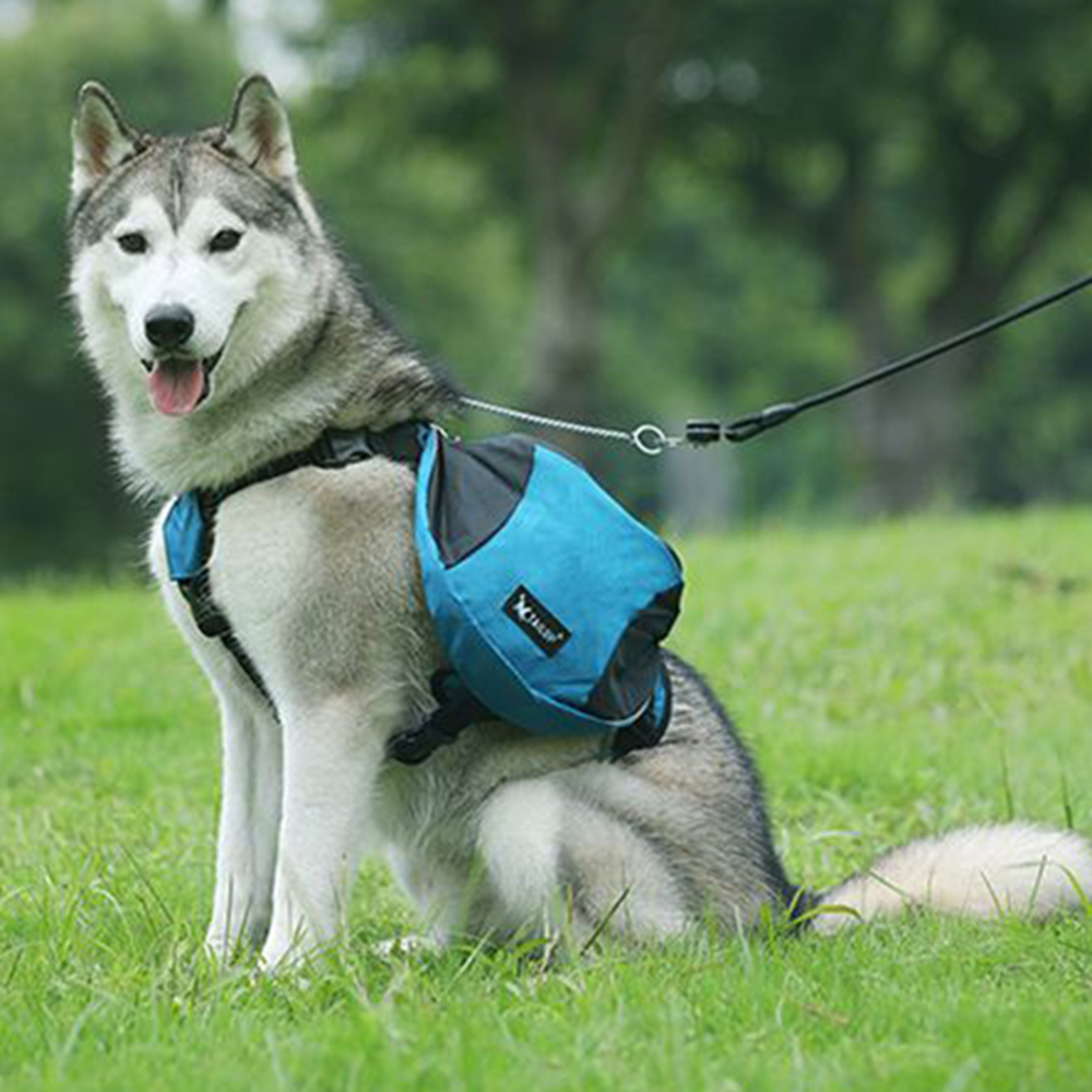 Tas Ransel Pelatihan Berat Bad - Crossfit Weight Vest ulasan dan harga